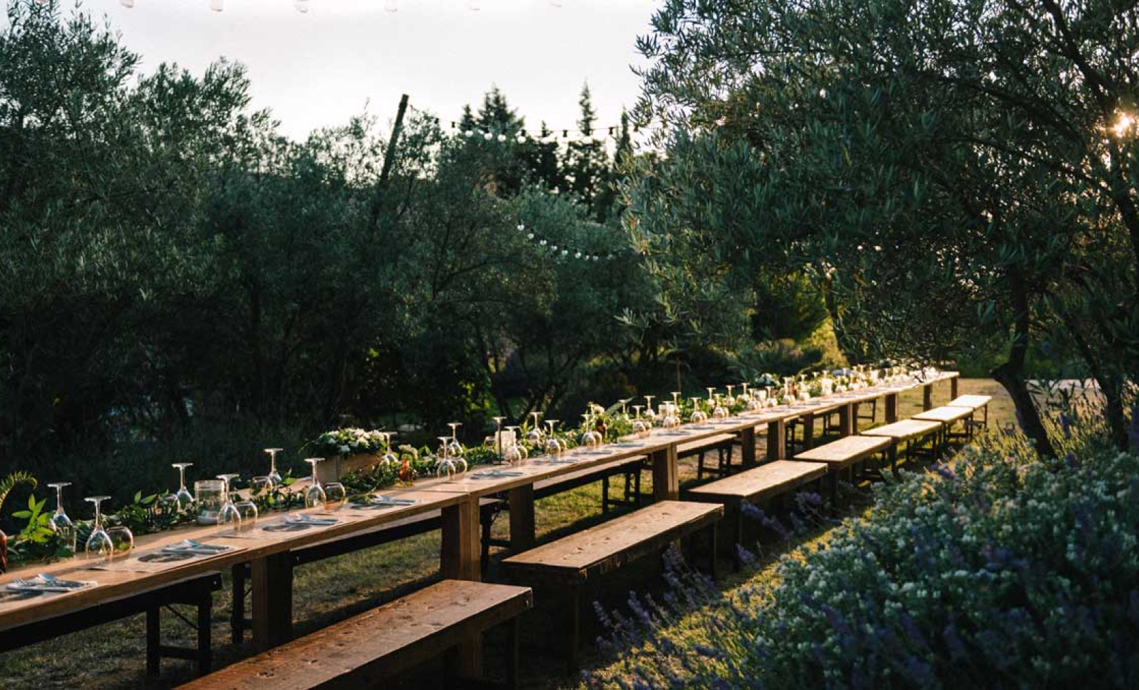 Studio de direction artistique Paris, identité visuelle et packaging, projet Yapapi, producteur d'huile d'olive grecque par Halley&Co