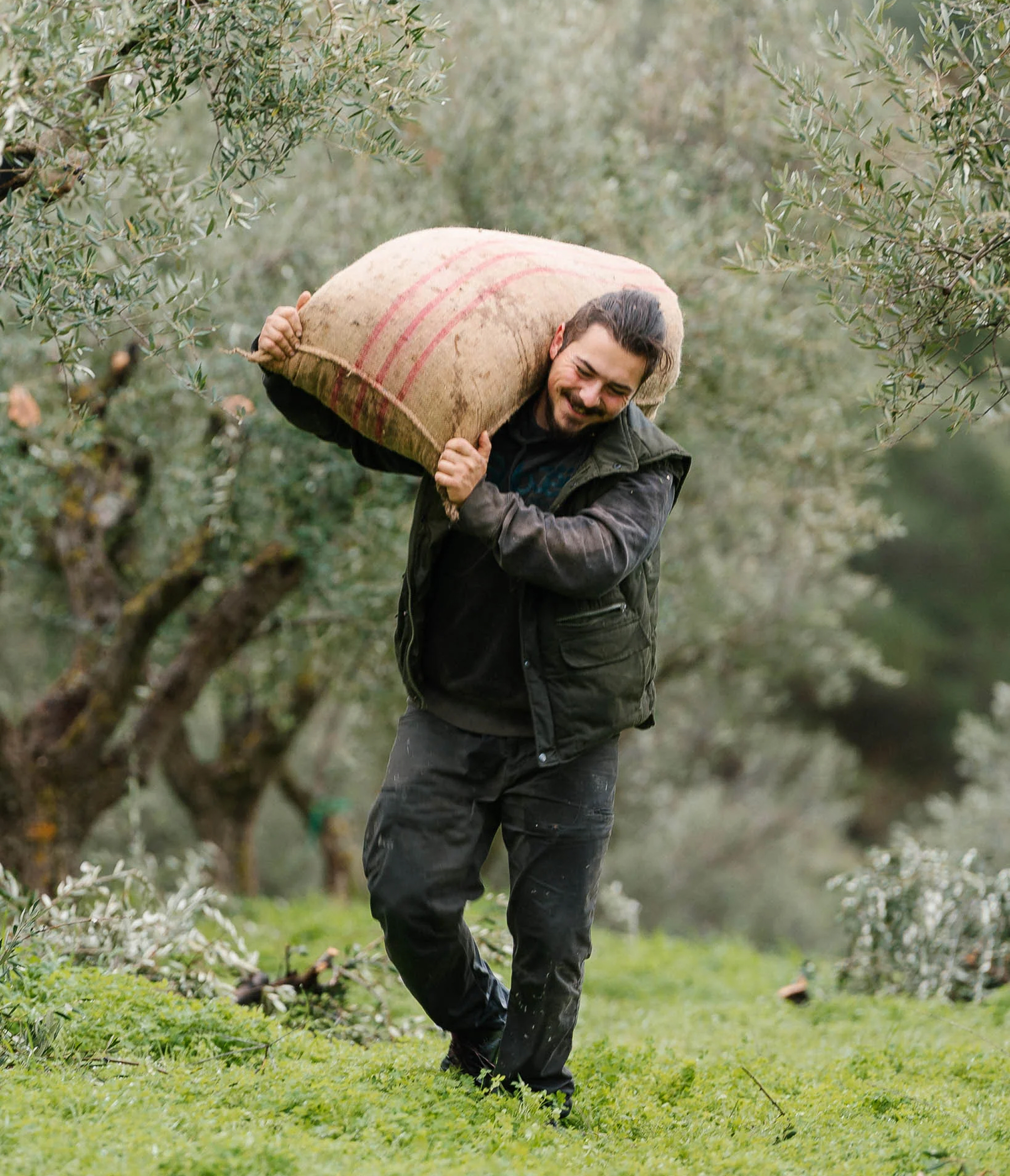 Studio de direction artistique Paris, identité visuelle et packaging, projet Yapapi, producteur d'huile d'olive grecque par Halley&Co